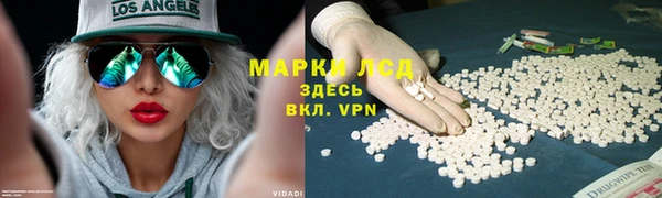 mdpv Вяземский