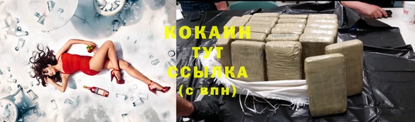 mdpv Вяземский