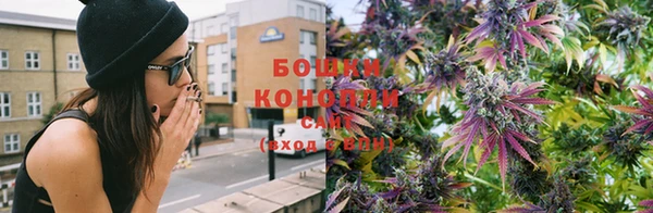 mdpv Вяземский