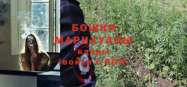 mdpv Вяземский