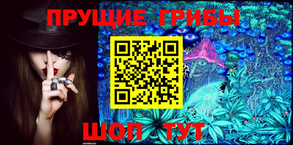 Галлюциногенные грибы Cubensis Нерюнгри