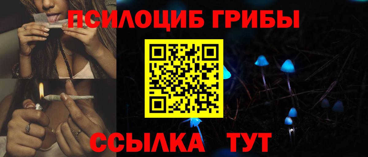 Нерюнгри  Псилоцибиновые грибы Cubensis  Галлюциногенные грибы Psilocybine cubensis  Вход с VPN 
